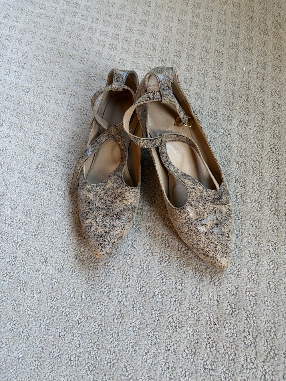 Poppy Barley Pointed Mary Jane Flats